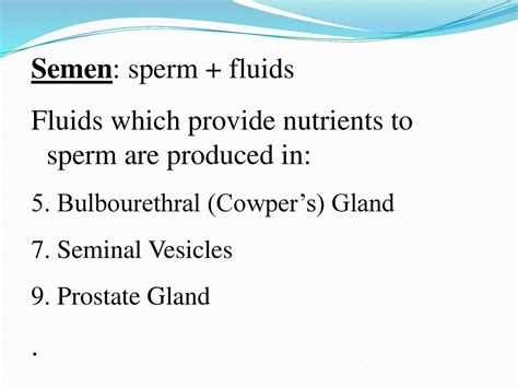 omega 3 for sperm|provides nutrients to developing sperm.